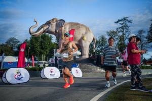 BIB: 
                            <button type="button" onclick="openModal(26541858)" class="btn btn-primary btn-sm float-right btn-popup" data-toggle="modal" data-target=".modal-high-quality">
                        <i class="fas fa-shopping-cart"></i> Add to Cart
                    </button>
                                            <button type="button" onclick="isThisMe(26541858, true)" class="btn btn-success btn-sm float-right btn-popup btn-isme hidden" data-toggle="tooltip" data-placement="bottom" title="นี่คือรูปของคุณใช่ไหม คลิกที่นี่เพื่อเอาเข้าอัลบั้ม">
                        <i class="fas fa-plus"></i> Add to album
                    </button>
                    <button type="button" onclick="isThisMe(26541858, false)" class="btn btn-warning btn-sm float-right btn-popup btn-isnotme hidden">
                        <i class="fas fa-ban"></i> Remove from album
                    </button>